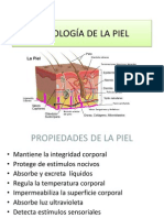 Tejido Tegumentario