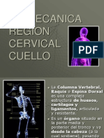 Biomecanica Del Cuell0