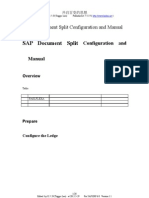 SAP FI ALL-SAP Document Split Configuration and Manual-V1.1-Trigger Lau