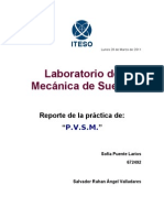 Reporte P.V.S.M