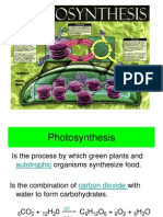 Photosynthesis