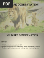 Wildlife Conservation