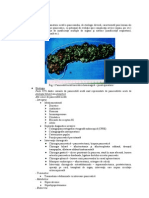 8.3 Pancreatita Acuta Partea I-A