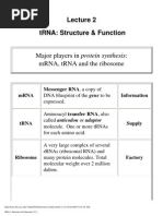 Lecture - 2-tRNA Structure & Function