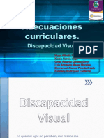 Discapacidad Visual