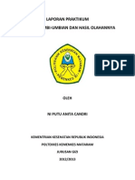 IPD 1 (Laporan Serealia Dan Hasil Olahanya)