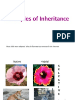 Principles of Inheritance