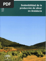 Sostenibilidad en La Produccion Del Olivar