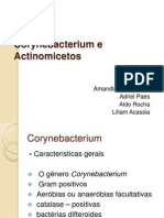 Corynebacterium e Actinomicetos