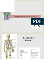 Desviaciones en El Cuerpo Humano