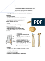 Anatomia Articulações