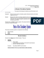 B2U3 CirculationNotes