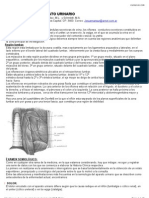 Semiología Del Aparato Urinario