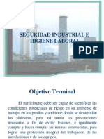 Seguridad Higiene Laboral II