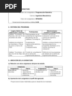 Programacion Numerica