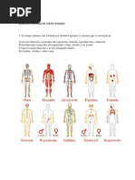 Aparatos y Sistemas Del Cuerpo Humano