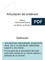 Articulación Del Antebrazo