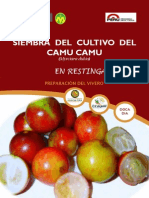 Camu Camu en Restingas Bajas