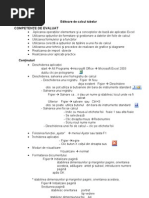 Editoare de Calcul Tabelar Excel