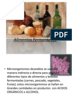 Alimentos Fermentados