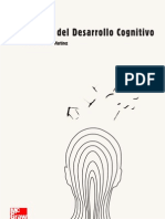 Teorías Del Desarrollo Cognitivo