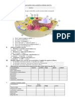 EVALUACION DE CTA 1° Celula 2 PDF