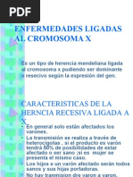 Cromosoma X