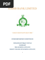 HBL Internship Report 2012-13