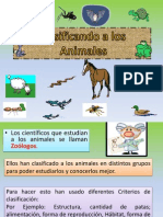 Clasificacion de Animales