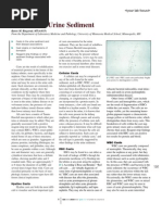 Casts in The Urine Sediment