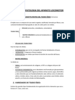 Tema15fisiopatologia Del Aparato Locomotor