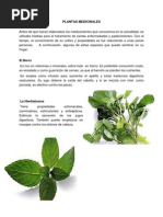 Plantas Medicinales