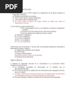 Examen Neonato