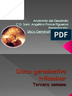 Disco Germinativo Trilaminar