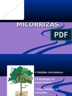 MICORRIZAS