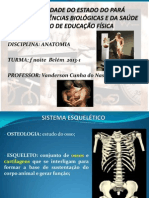 Aula 02 Sistema Esquelético I PDF