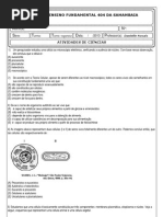 Atividades - Organização Celular - 6ºséries