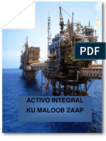 Activo Integral KMZ