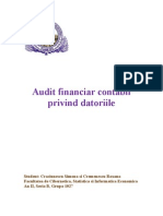 Proiect Auditul Datoriilor