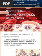 Neutrofilia (Expo)