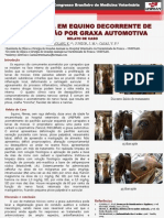 Otite Média em Equino Decorrente de Intoxicação Por Graxa Automotiva: Relato de Caso