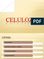 Celuloza Proiect