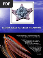 Diatoms 