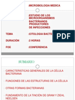 Citología Bacteriana