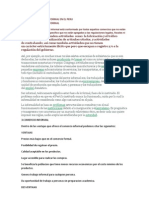 El Comercio Informal en El Peru PPPTT