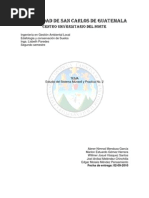 Sistema Munsell Reporte