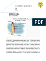 Microcirculación