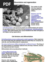  Cell Differentiation