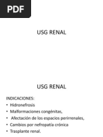 Usg Renal