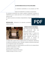 Práctica Electroforesis en Gel de Poliacrilamida